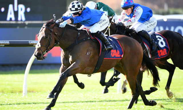 Te Akau Trans Tasman Thursday Preview