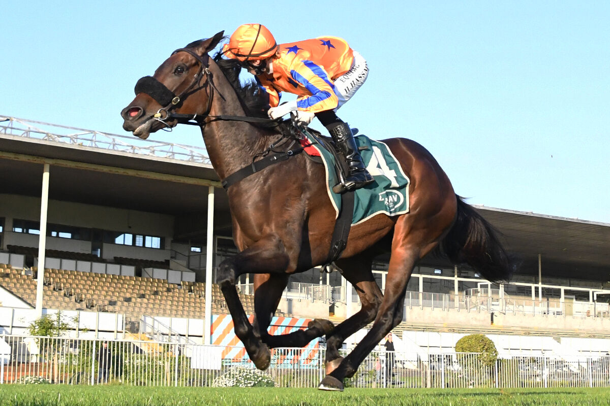 Te Akau Trans Tasman Saturday Preview