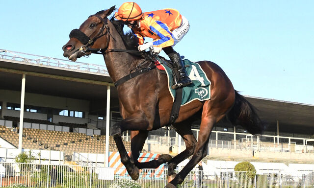Te Akau Trans Tasman Saturday Preview