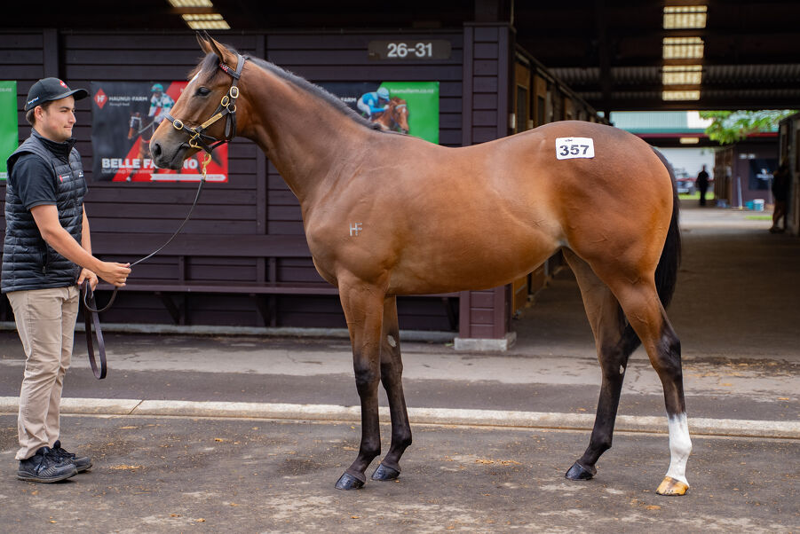 Lot 357 Proisir (AUS) ‐ Colerne (AUS) Bay Filly